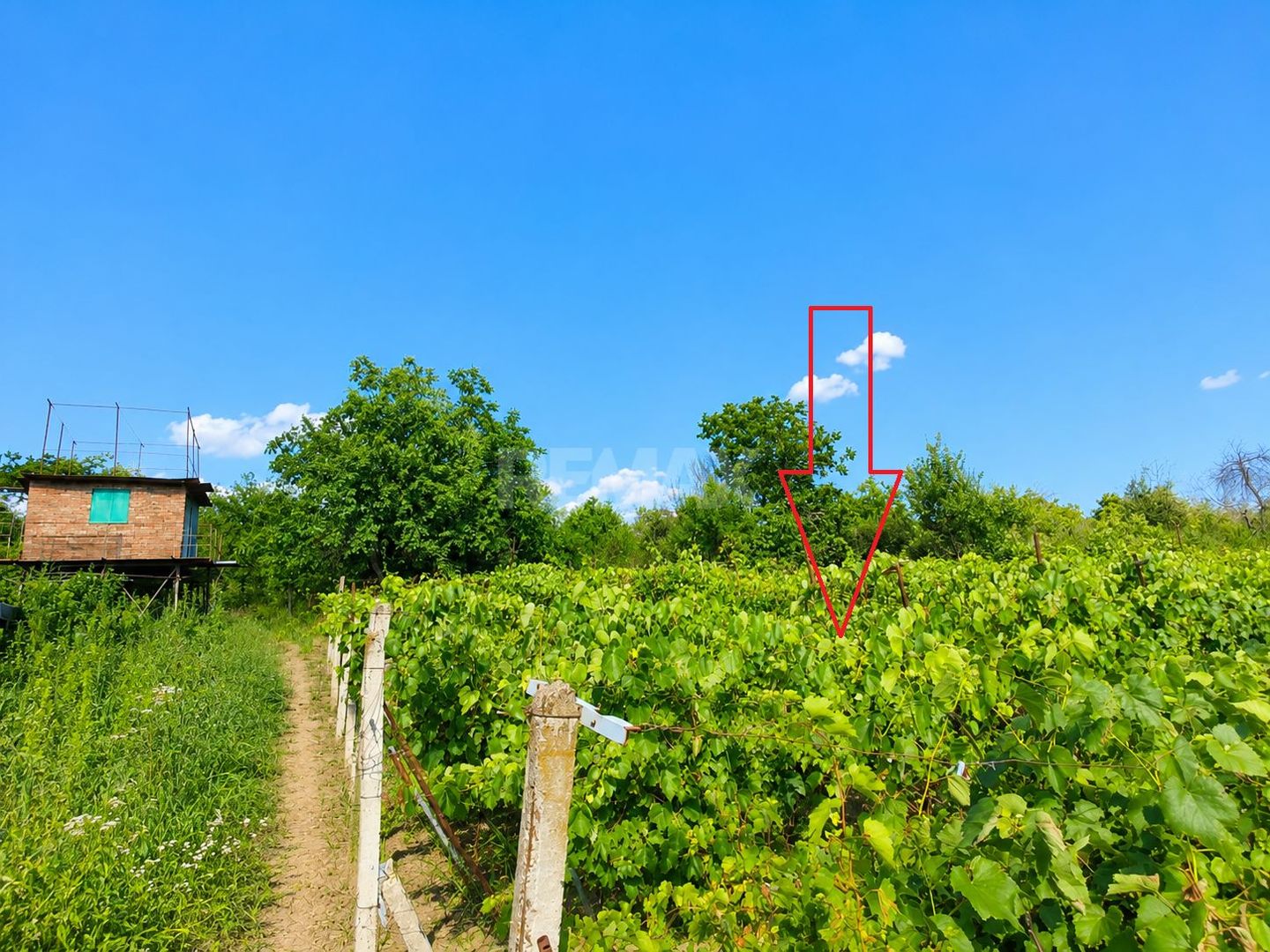 Lot pomiol în Sângera | Î.P. „Roadă Bună” | Zonă Locuită - Poză 7