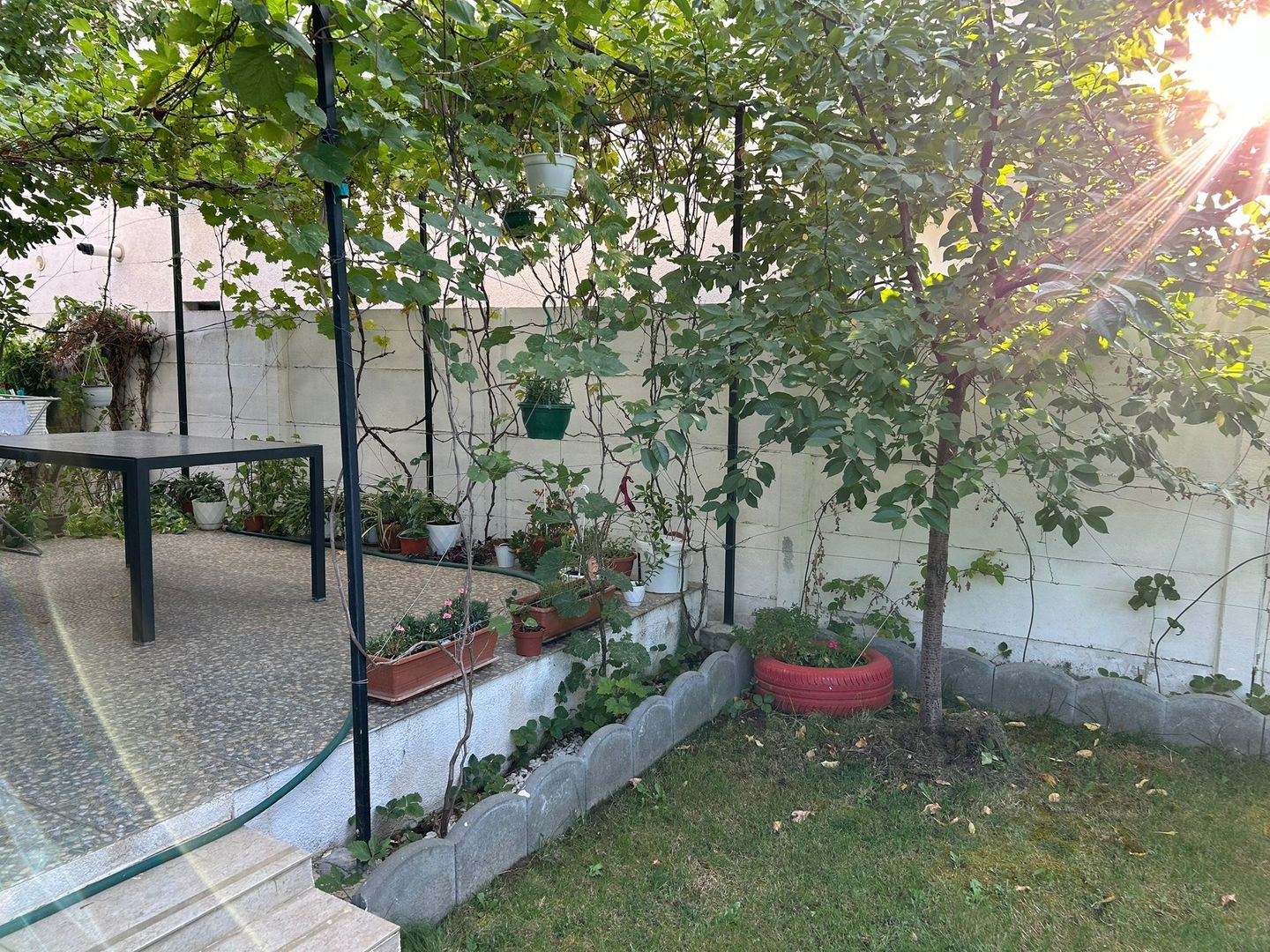 Vilă 4 camere | Tunari | De Vânzare - Poză 9