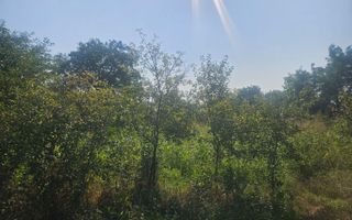 ISTRIA (COD04)-Teren intravilan 1528 mp-Constanta - Poză 5