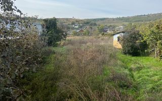 Teren pentru Constructii 32 Ari in Molesti - Poză 3