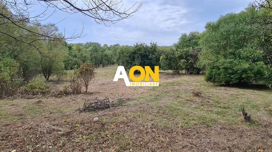 De vanzare casa 4 camere 1392 mp teren in Oarda de Sus - Poză 15