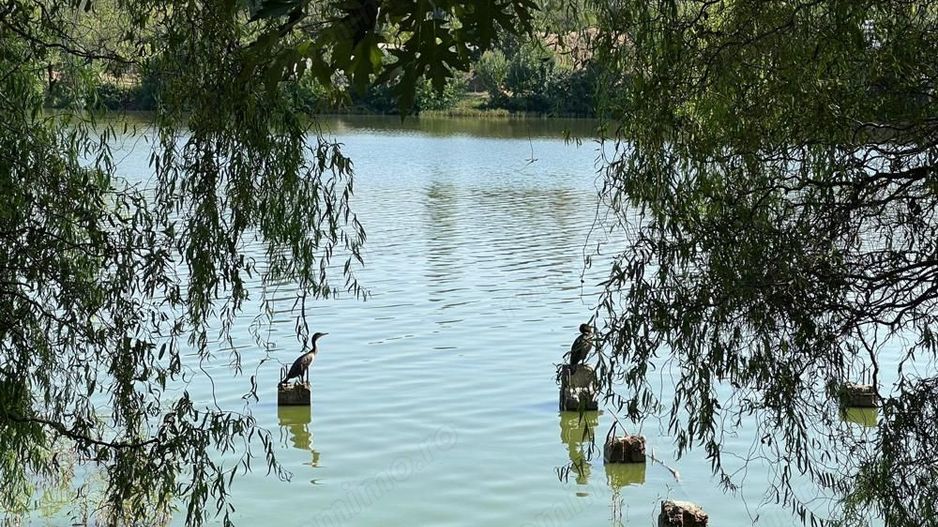 Inchiriere apartament 3 camere 119 mp, complex Laguna Residence - Poză 10