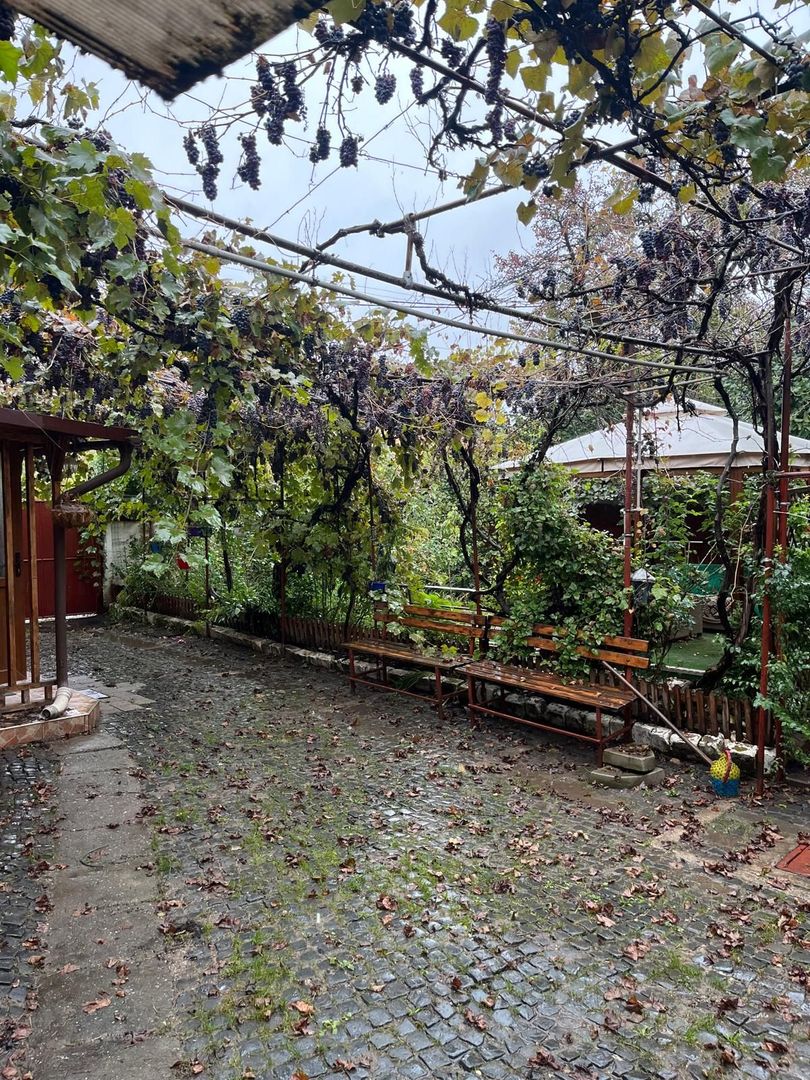 Casă de vânzare în Sânpetru Vechi - singur în curte, garaj, foișor - Poză 14