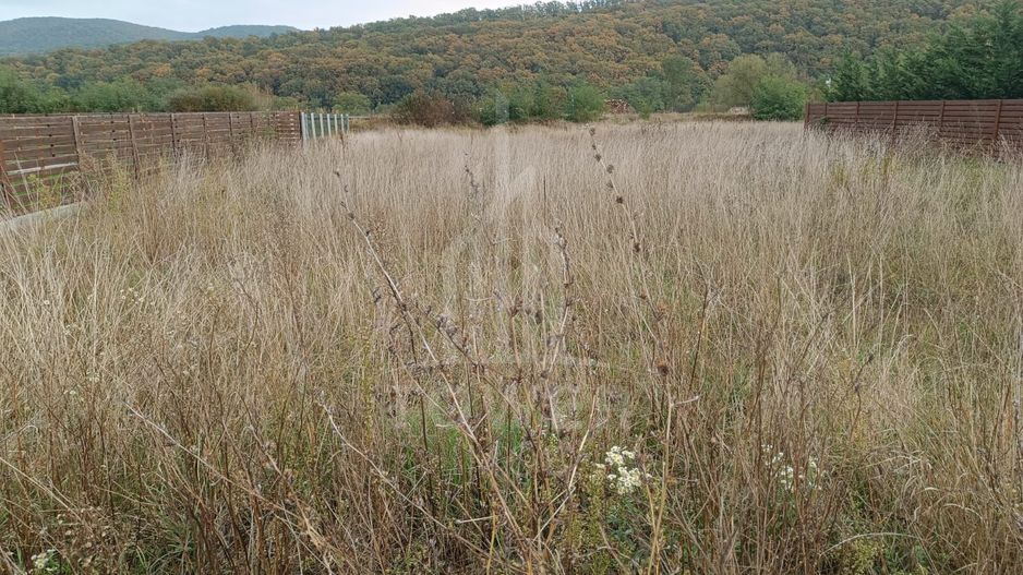 🏡 Teren de vânzare în Tălmaciu – zonă liniștită, cu priveliște spre munți - Poză 5