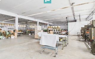 Hală de producție, cu birouri și teren, în Sebiș - Poză 67