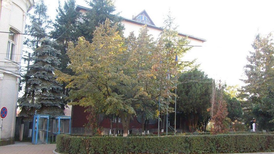 Cladire comerciala Simleu Silvaniei - Poză 3