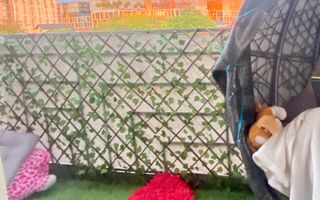 Apartament 2 camere/  Bloc dupa 2000/ Palas Campus - Centru - Poză 5