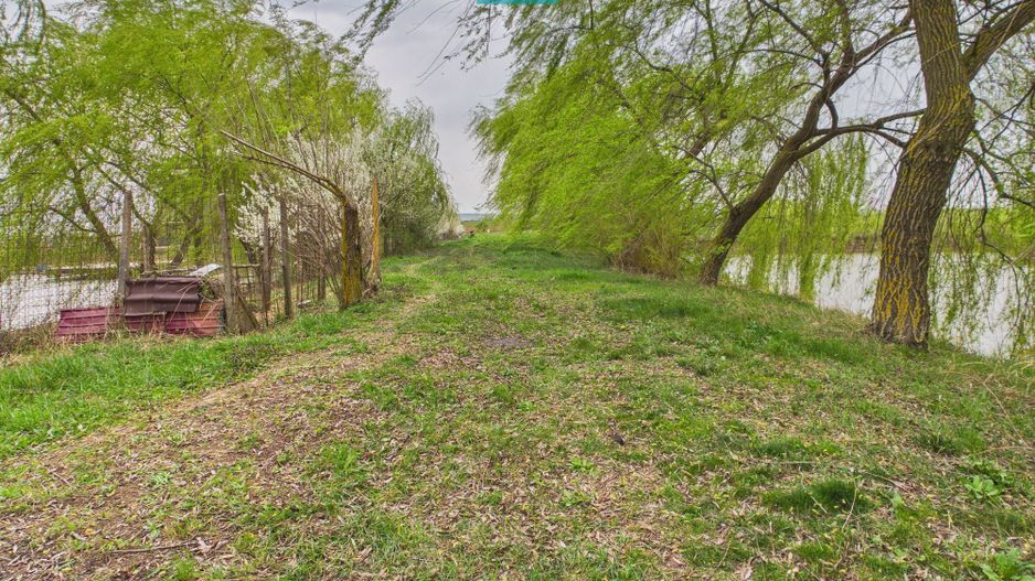 Teren 1 ha cu baltă populată – Alioș (Mașloc) - Poză 11