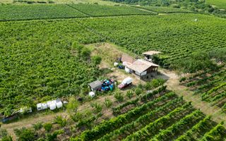 Vie Tradițională „Halta Lupilor” - Poză 45