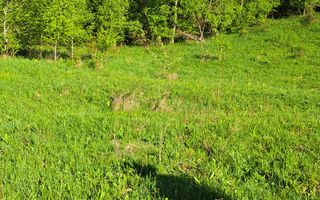 Teren extravilan de vanzare, Bistrita Bargaului- 10 minute de Colibita - Poză 18