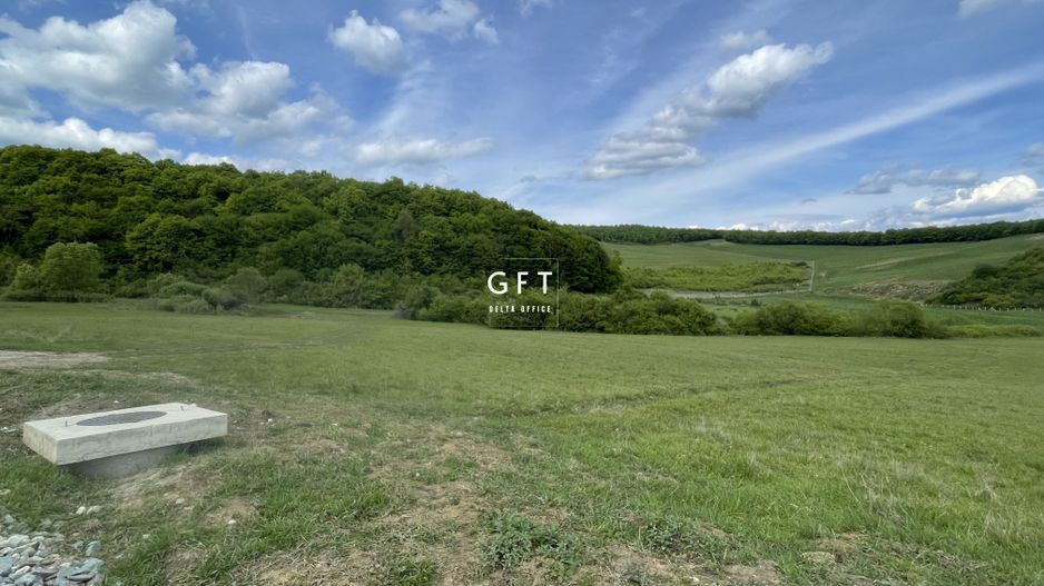 Teren extravilan 10000 mp, Jelna. - Poză 3