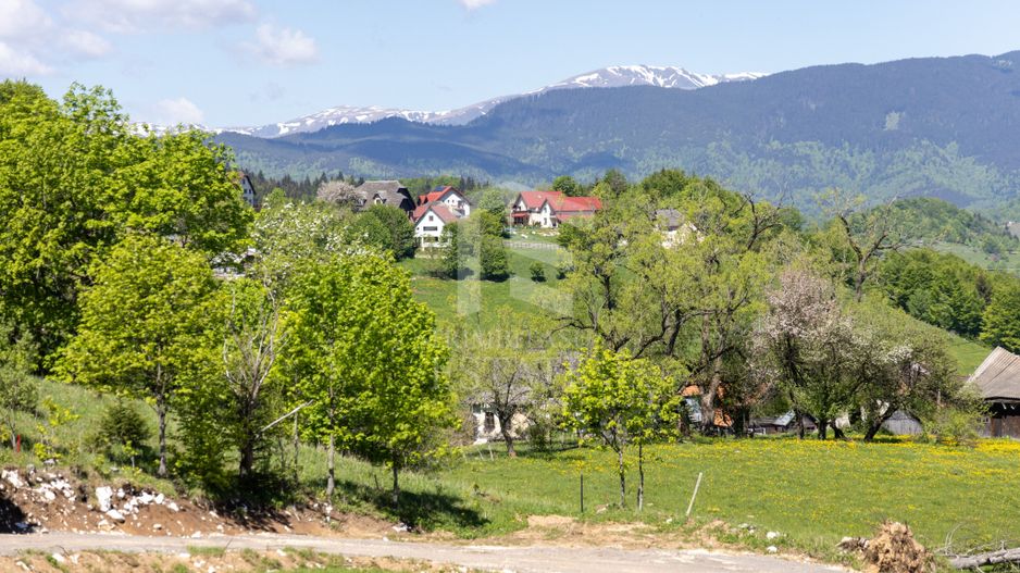 Fundata-Teren de vanzare 15,771 mp intravilan+extravilan+padure - Poză 6