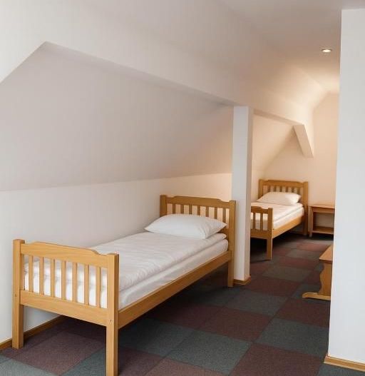 Pet Friendly, Vedere Padure, 5000mp teren, D+P+1E+M, semineu, foisor - Poză 50