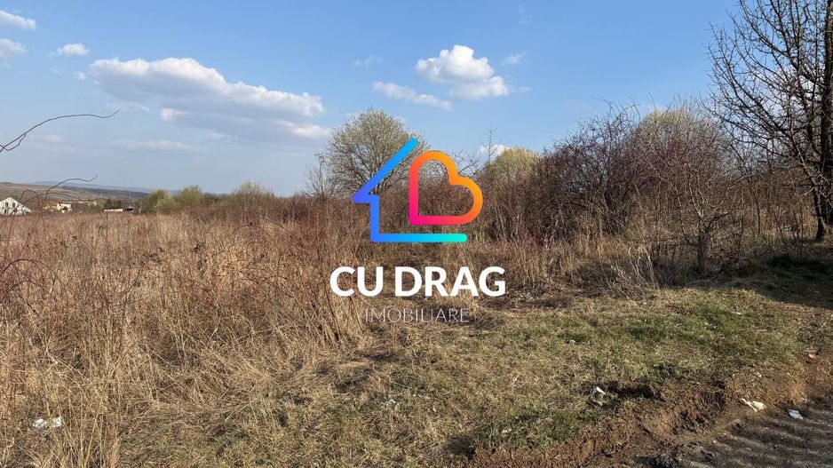 Teren intravilan cu toate utilitatile si drum amenajat Daia - Poză 2