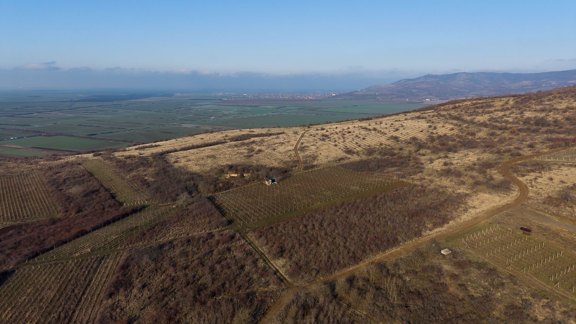 Vita-de-vie Premium  teren de 6800 mp în Covăsinț - Poză 18