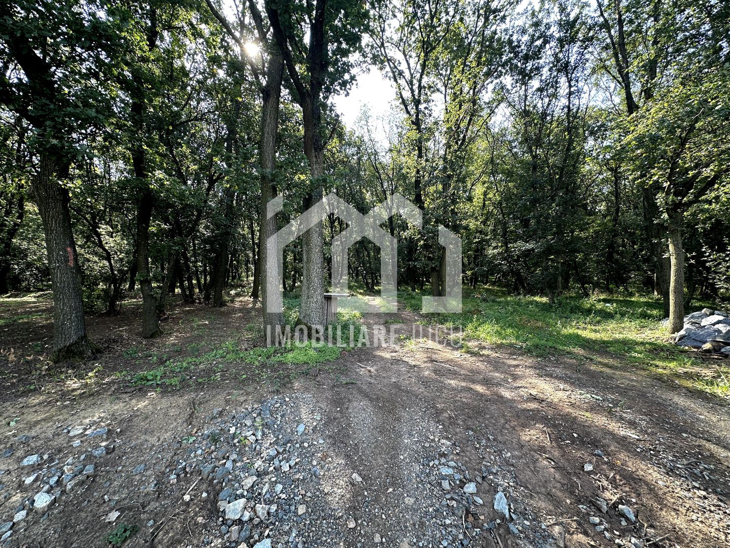 Teren intravilan – 1.450 mp | Jucu de Sus, marginea pădurii - Poză 7