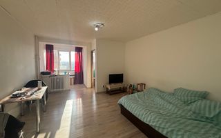 Garsoniera Brazda Lui Novac Blocurile G et 8/10 - Poză 9