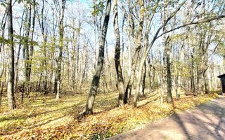 50 ari de Teren forestier si de recreere in Codri!! - Poză 1
