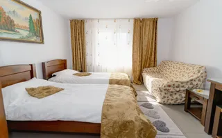 PENSIUNEA EVRICA - COSTESTI - HOREZU - VALCEA - Poză 11