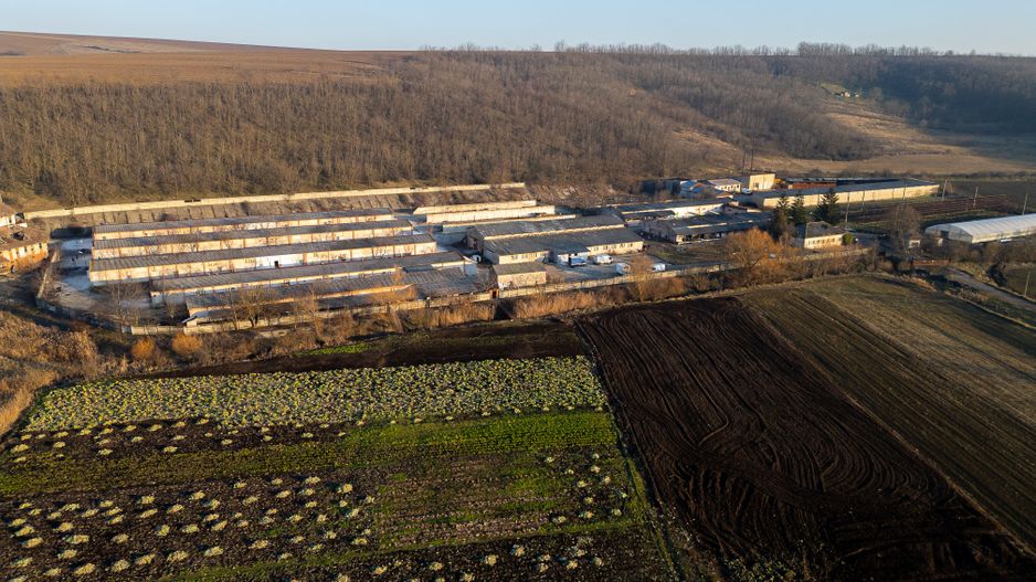 Fosta Ferma a Partidului de la Horgesti - de vanzare - Poză 21