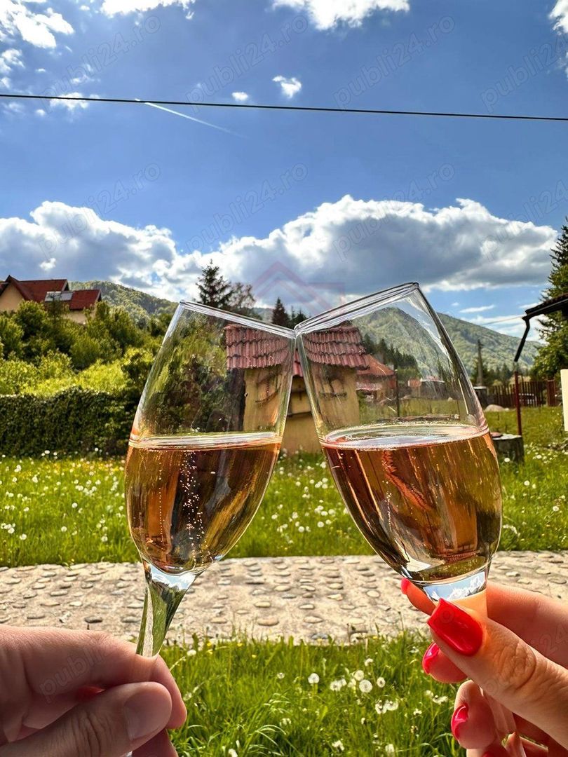 Casă/Vilă la cheie/115mp în Poiana Mărului, jud Caras Severin - Poză 9