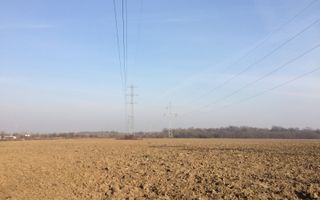 teren Cernica sat Caldararu - Poză 5