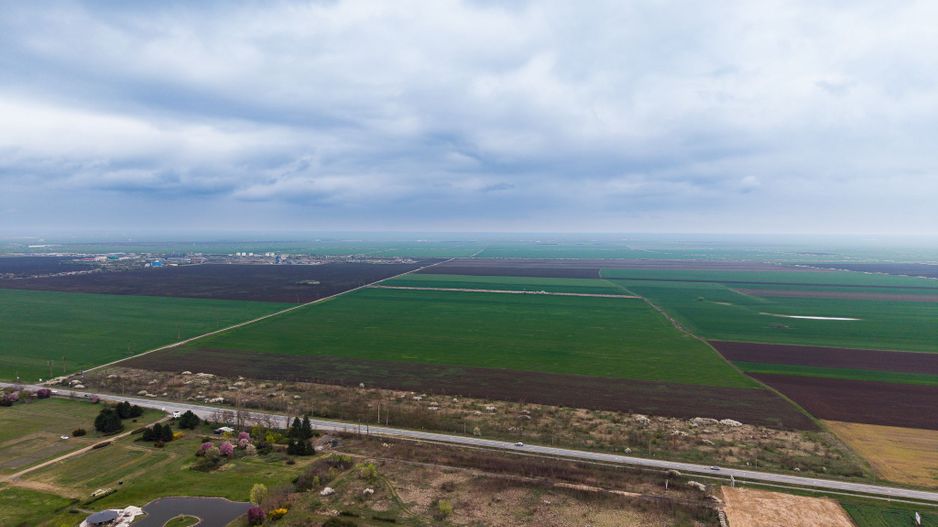 Teren de 41800 mp ieșire Vladimirescu - Poză 6