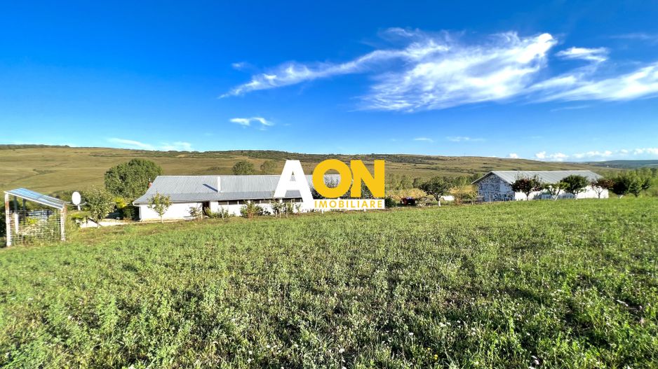 Ferma de vanzare cu 550MP utili si 27.500MP teren la asfalt - Poză 28