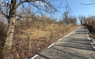 Teren intravilan 2788 mp deschidere 55 ml cu vedere panoramica ! - Poză 12