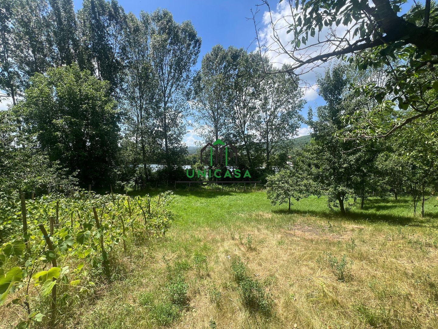 Teren Fedelesoiu/3200 mp/Intravilan - Poză 2