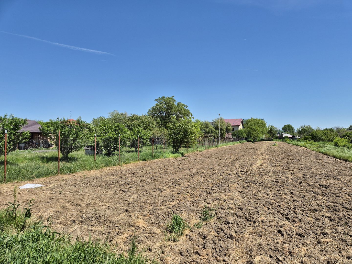 Teren intravilan 2658 mp - 1 Decembrie, Ilfov - Poză 4