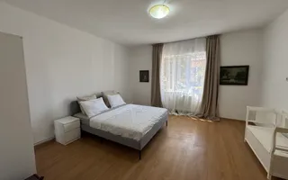 Oportunitate invesitie – 2 unitati in Astra, Brasov - Poză 14