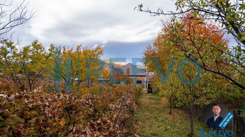 Casa de vânzare, strada Paun Pincio nr. 5, Moinești - Poză 3