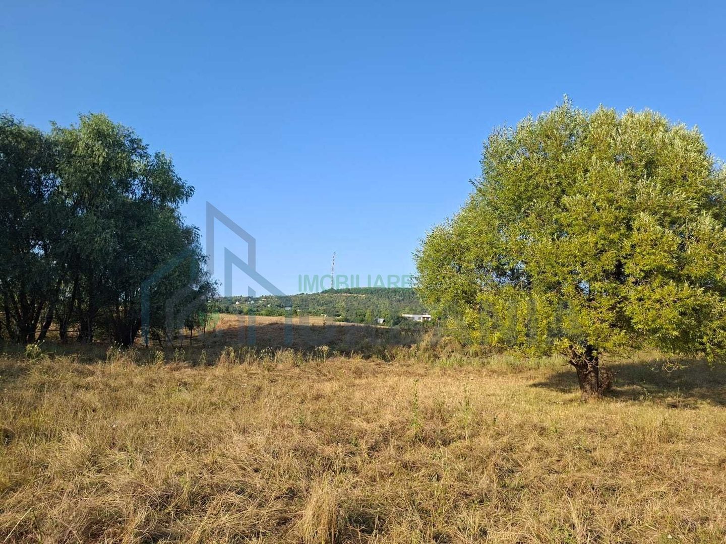 Teren intravilan de vanzare in Barnova, Iasi, langa Manastirea Barnova - Poză 3