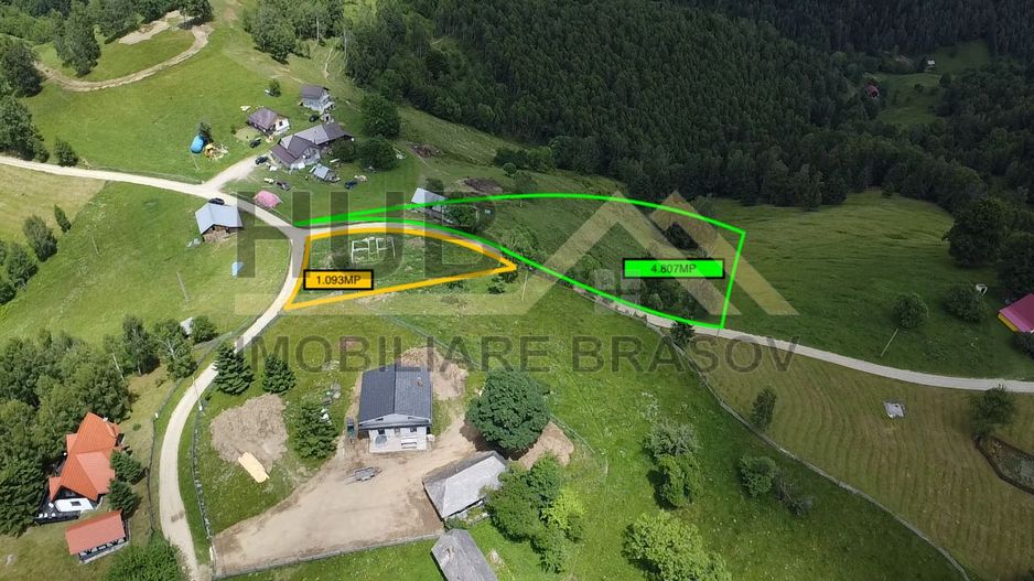 Oportunitate Investitie | Teren Pestera | 4.807mp | Utilitati Gaz/Curent - Poză 3