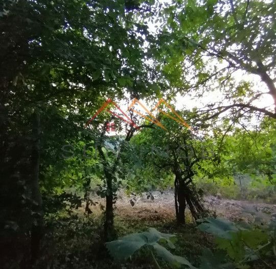 Casa de vacanta 5 camere, teren 1113m2, Bustenari, Prahova - Poză 7