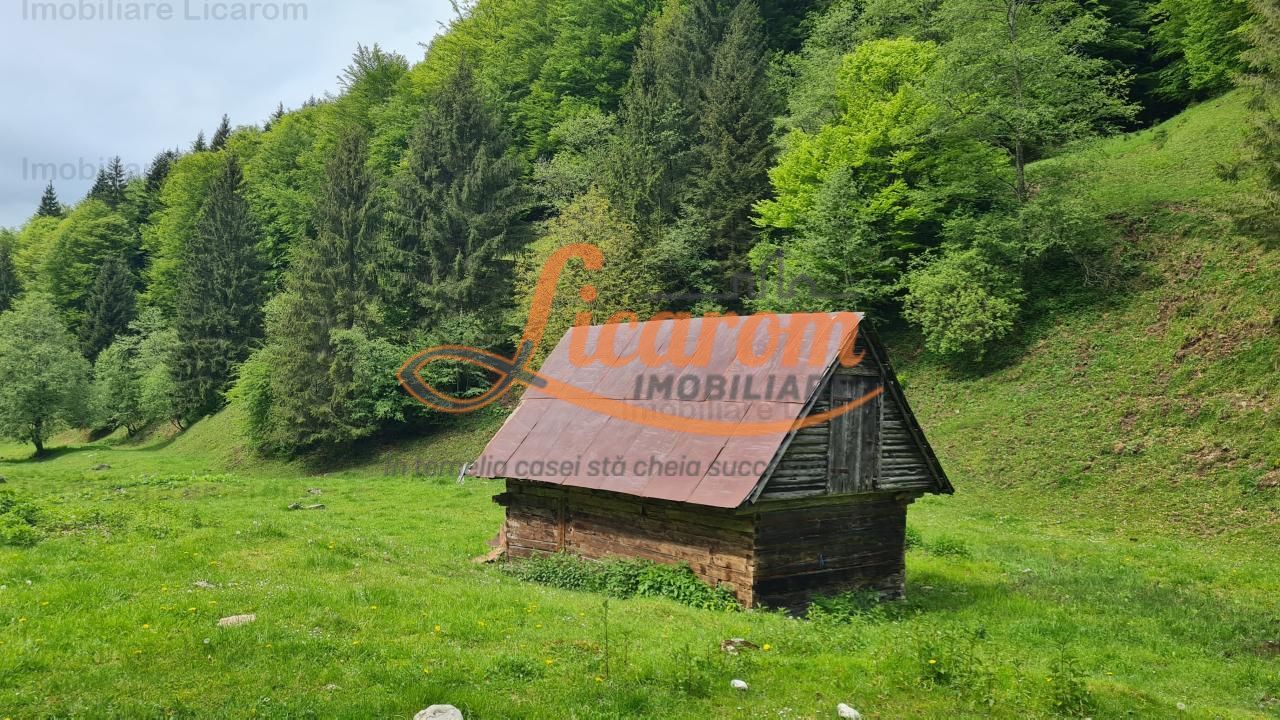 13005 mp teren faneata in Bran Simon cu fornt de 57 mp - Poză 8