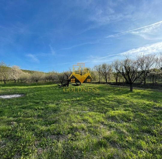 Tren Soporului Intravilan ,5500 MP Utilitati,  Oportunitate - Poză 1