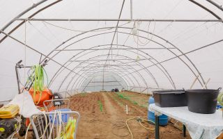 Casă cu 3 dormitoare și 2600 mp teren - Poză 21