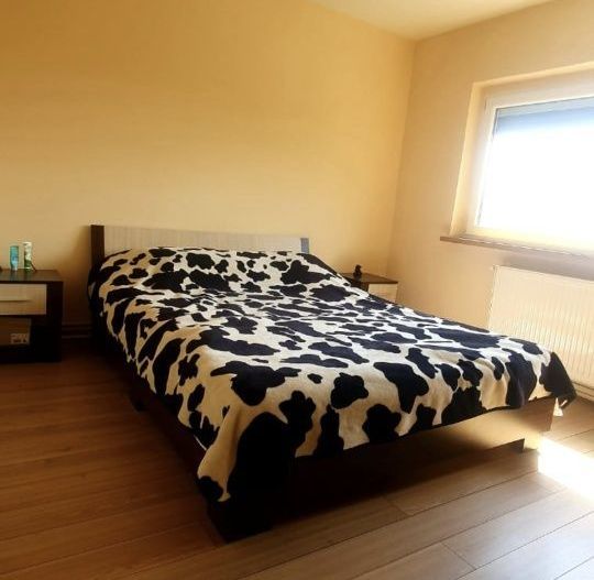 Apartament cu 3 camere Torontalului - Poză 7