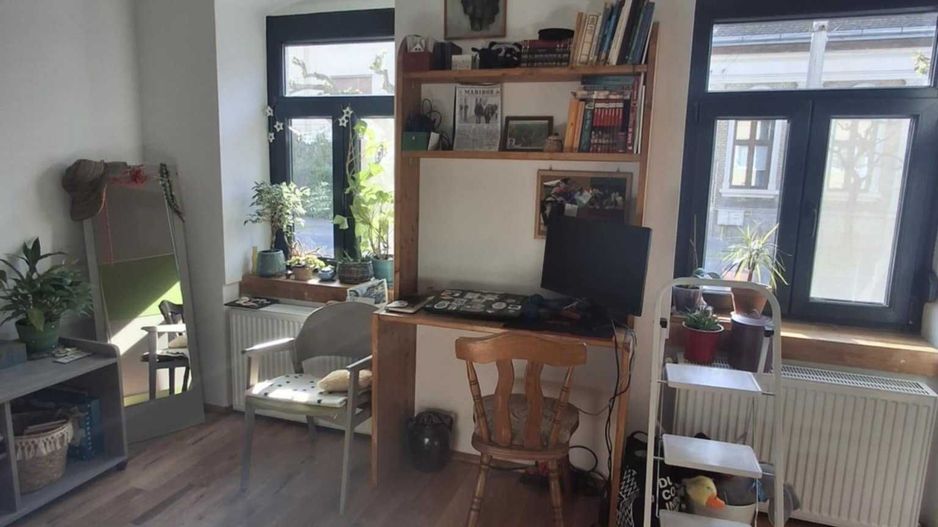 Casă cu grădină în centrul orașului Satu Mare - Poză 6