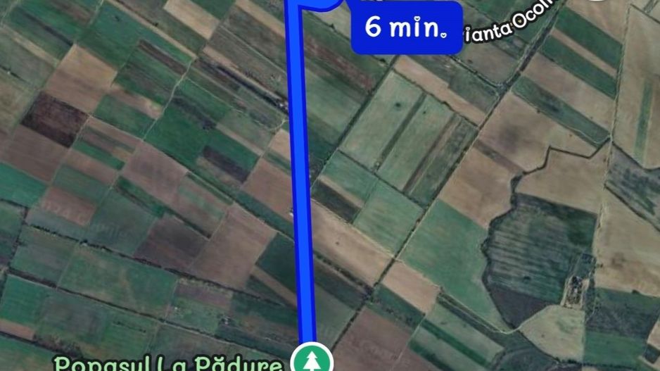 Giroc-Padure | 500 mp | 2 F.S. - Poză 2