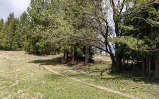 Teren intravilan, 3040 mp, Dealu Botii, com Belis, Comision 0 - Poză 4