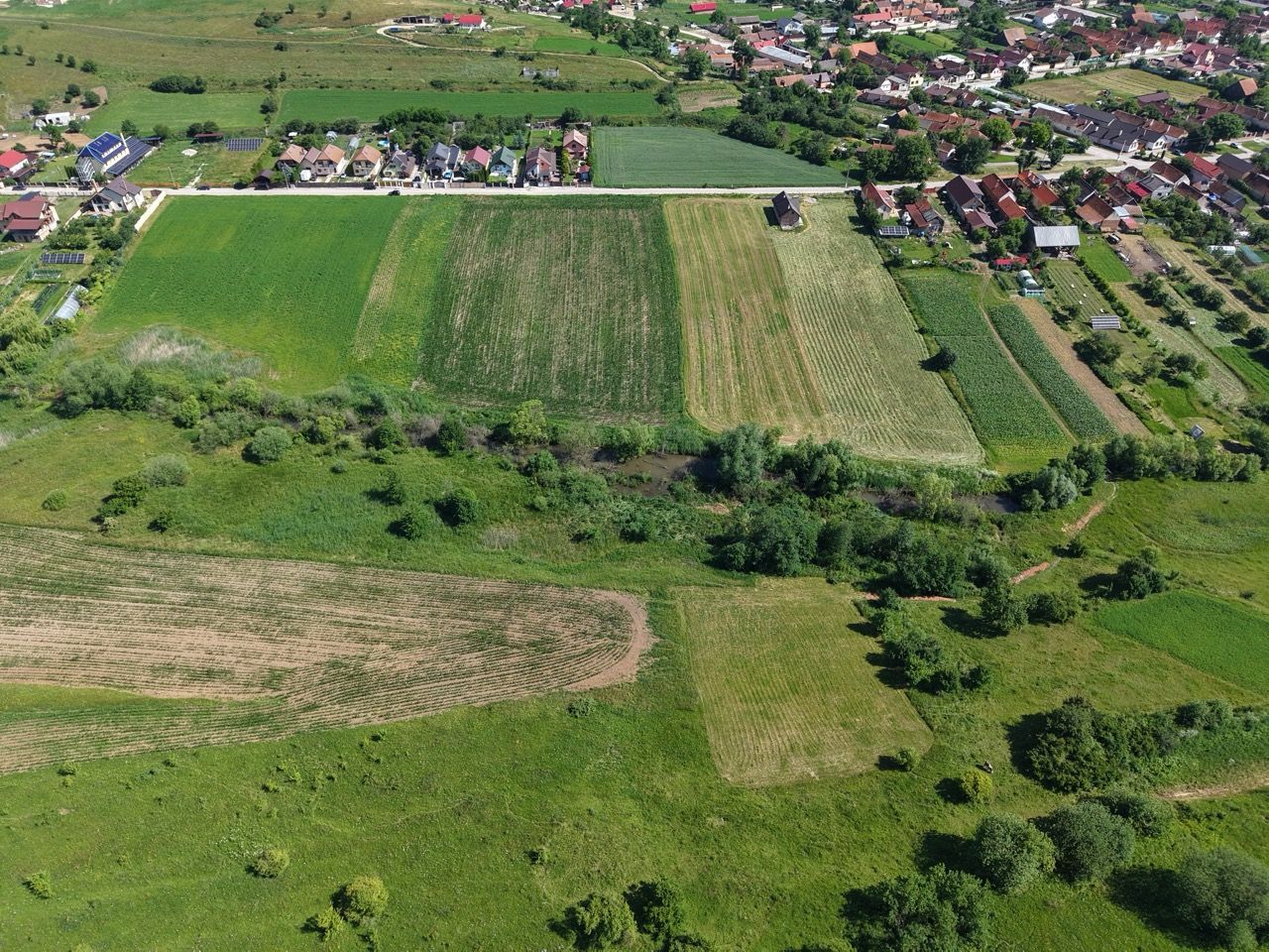 Teren intravilan 10.000 mp, Rotbav (Feldioara) - Poză 7