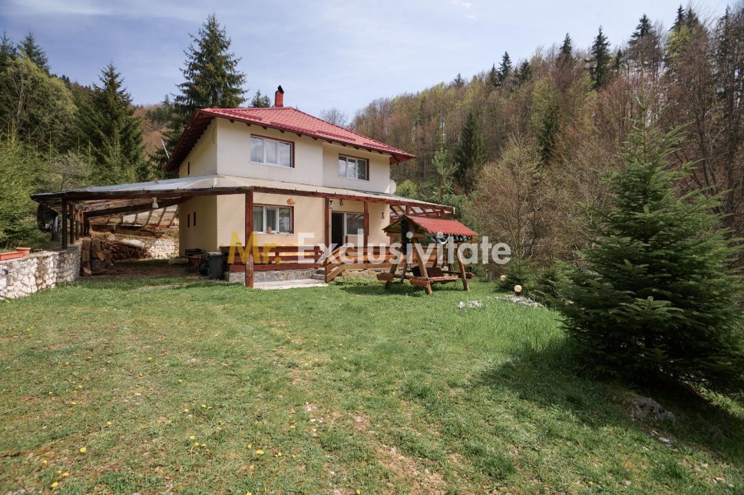 Casa de vacanta sau pensiune in Dâmbovicioara 5 camere, 5 bai, 6412 mp teren - Poză 7