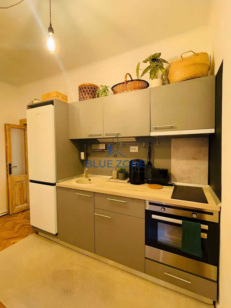 Cișmigiu | 2 camere în vilă | 50 mp | Centrală proprie - Poză 4