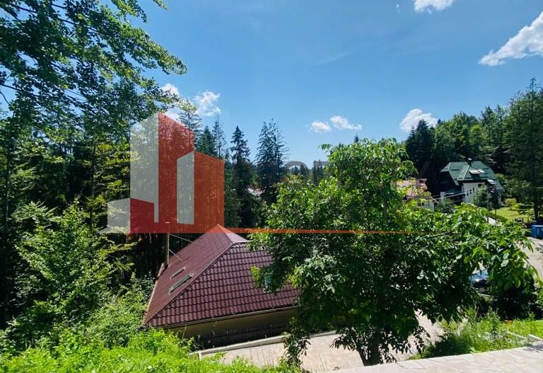 Vila Sinaia - Poză 12