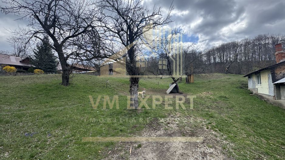 TEREN INTRAVILAN 4365 MP POENARII DE MUȘCEL  JUDEȚUL ARGES - Poză 10