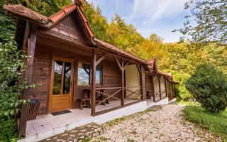 Domeniu în satul Căprioara - Poză 29