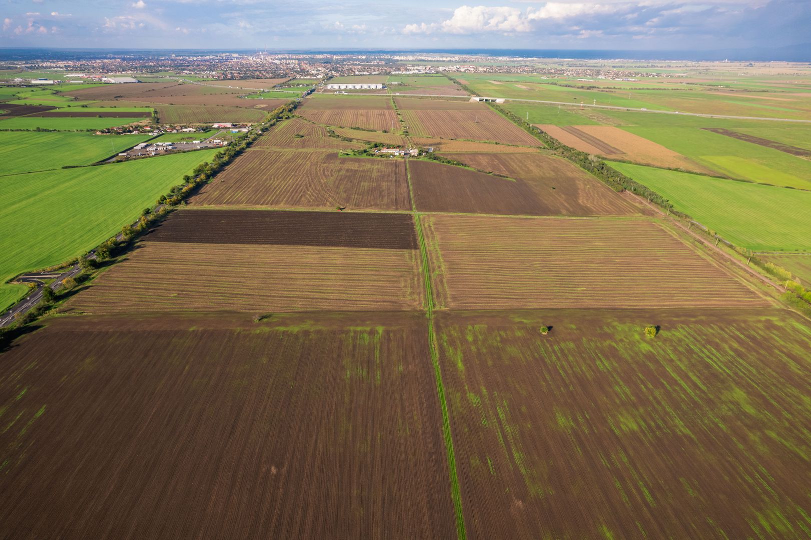 Teren de 100000 mp în Arad - Poză 5